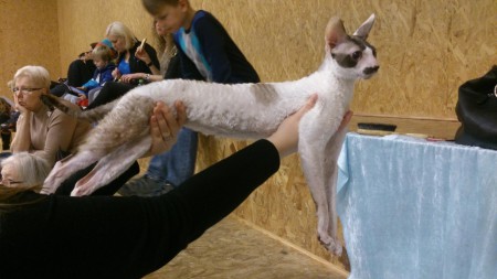 SE* Godreigns Ice Climber